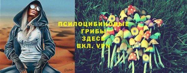 ECSTASY Балабаново