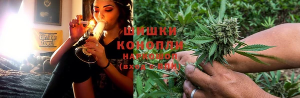 сатива Баксан