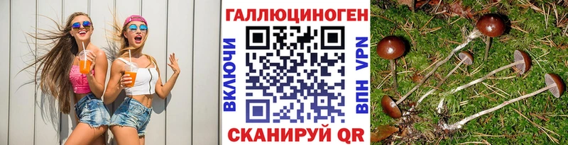 Галлюциногенные грибы мицелий  Купить закладки  Бабаево 