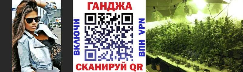 Шишки марихуана марихуана  Купить закладки  Бабаево 